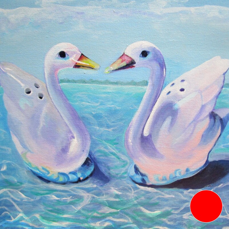 Salt and Pepper Swans ASwimming